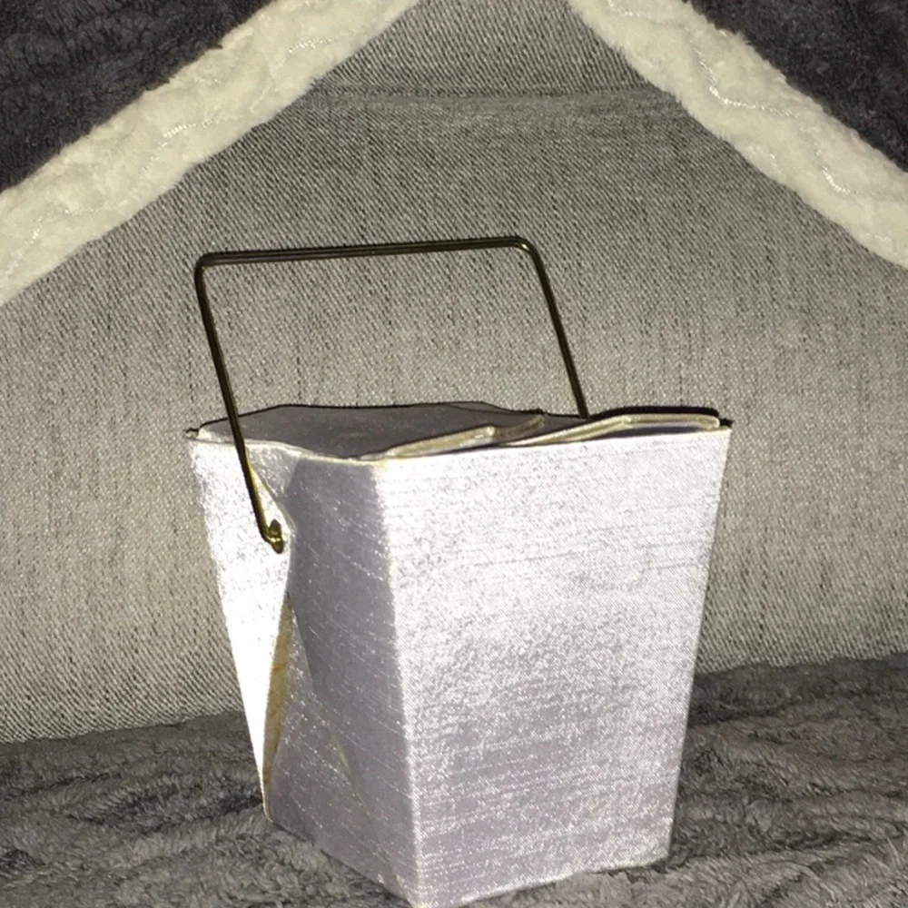 Chinese Takeout Container Upgraded Box Storage Container Silver NWOT